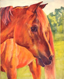 Arabian horse painting